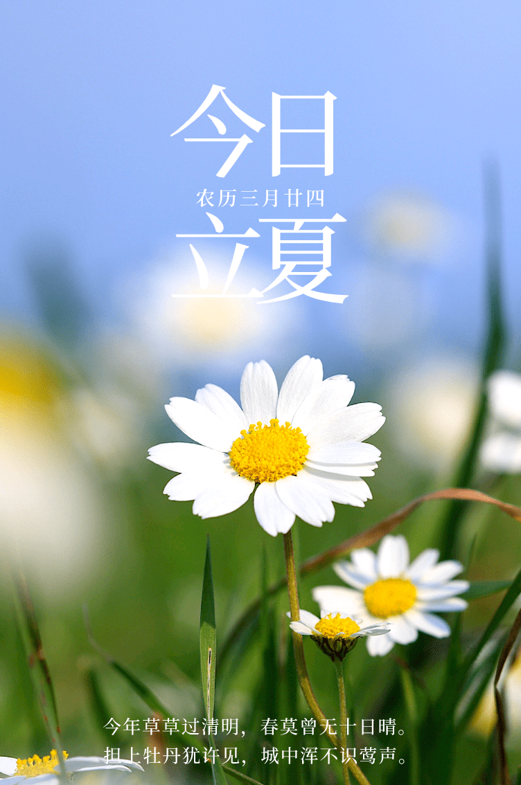 立夏早上好问候专辑立夏早上好动图表情立夏大家早上好图片大全