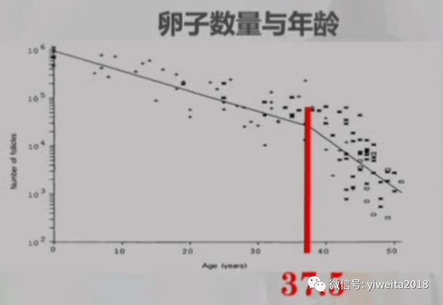 谁偷走了现代女性的生育力？