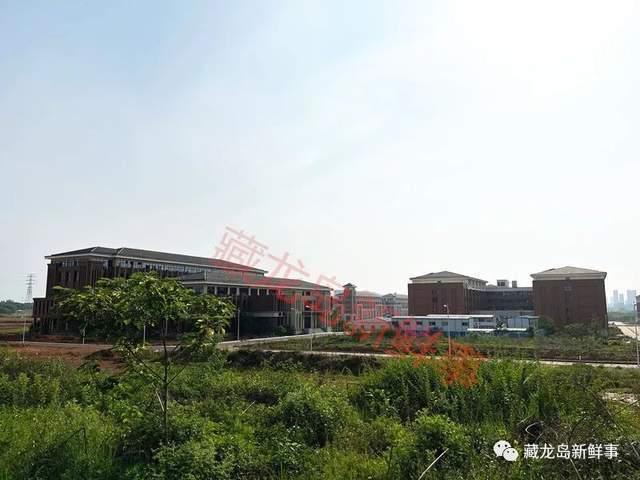 江夏藏龙岛将再添一所大学独家实拍最新进展