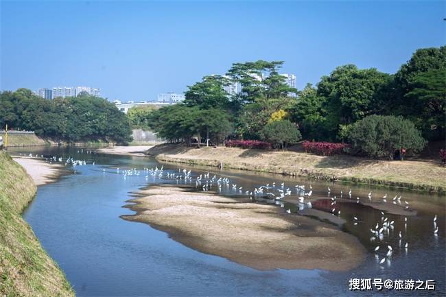 深圳有几个湿地公园，适合五一结束后游玩，人少景美还有花香