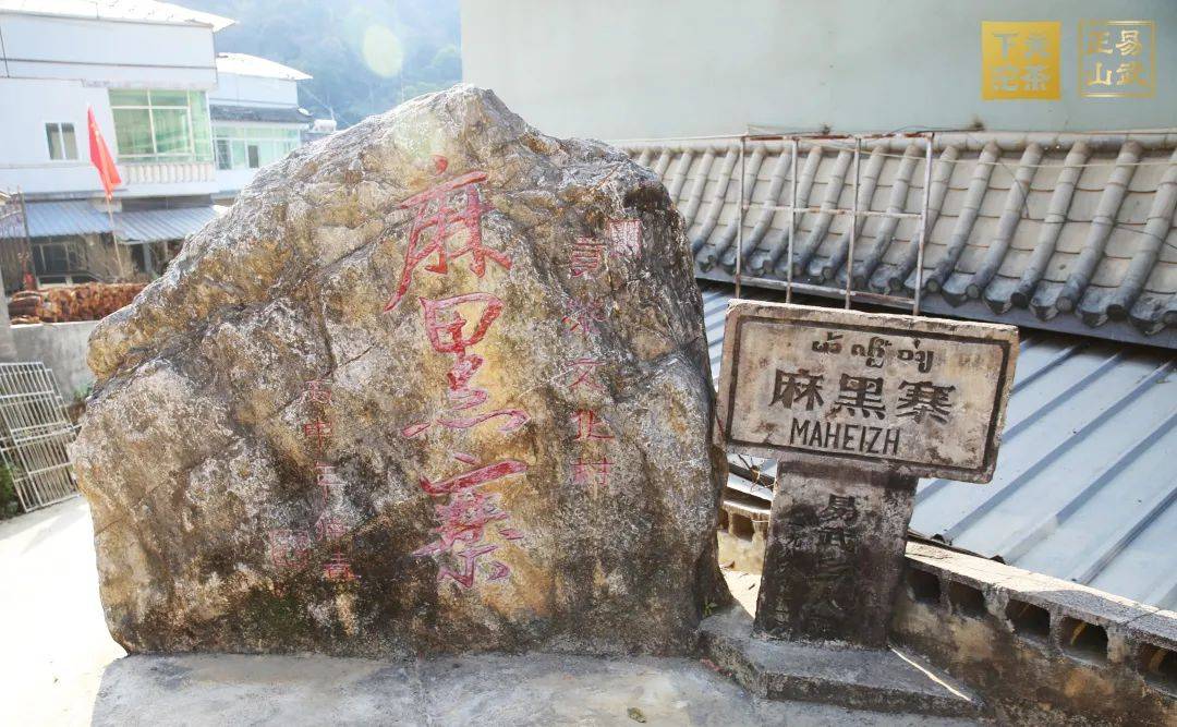 【正山易武】分外鲜明的"易武出身"!_弯弓_麻黑_下关