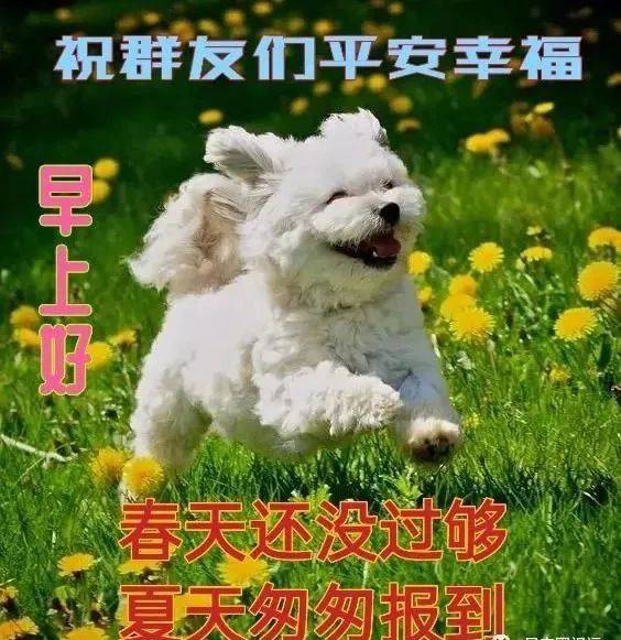 日常养生祝福语(夏季养生祝福语大全简短)-第1张图片-鲸幼网