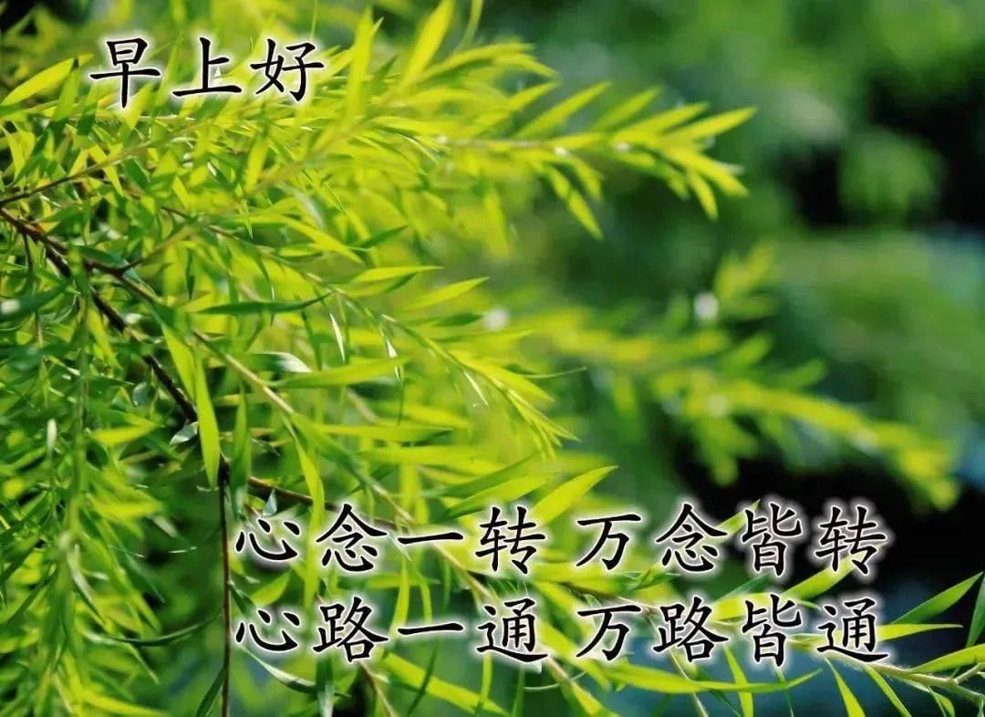 原创8张最新漂亮夏日风景早上好图片带祝福语好看夏天风景朋友圈早安