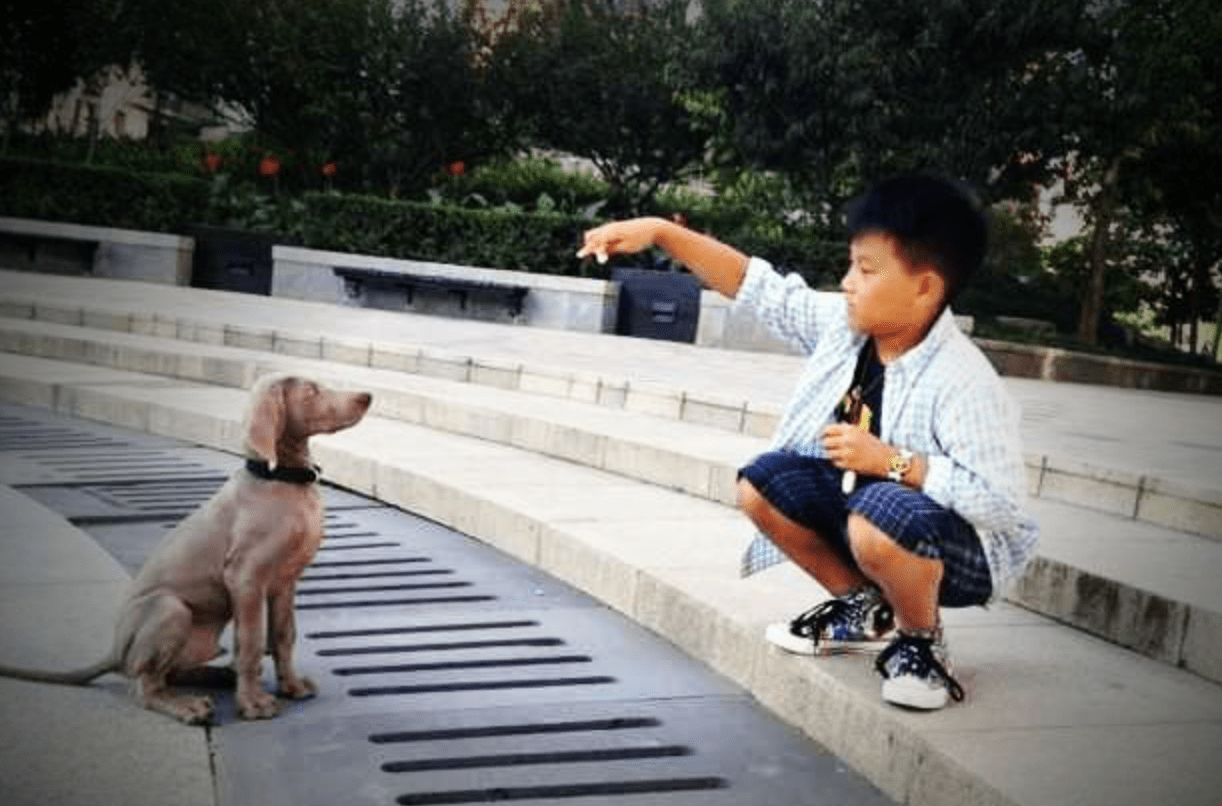 陈坤之子陈尊佑被聚焦的成长史:当初多狼狈,现在多强大