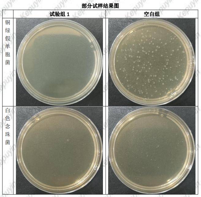 三聚氰胺板抗菌金黃色葡萄球菌和銅綠假單胞菌抗菌報告