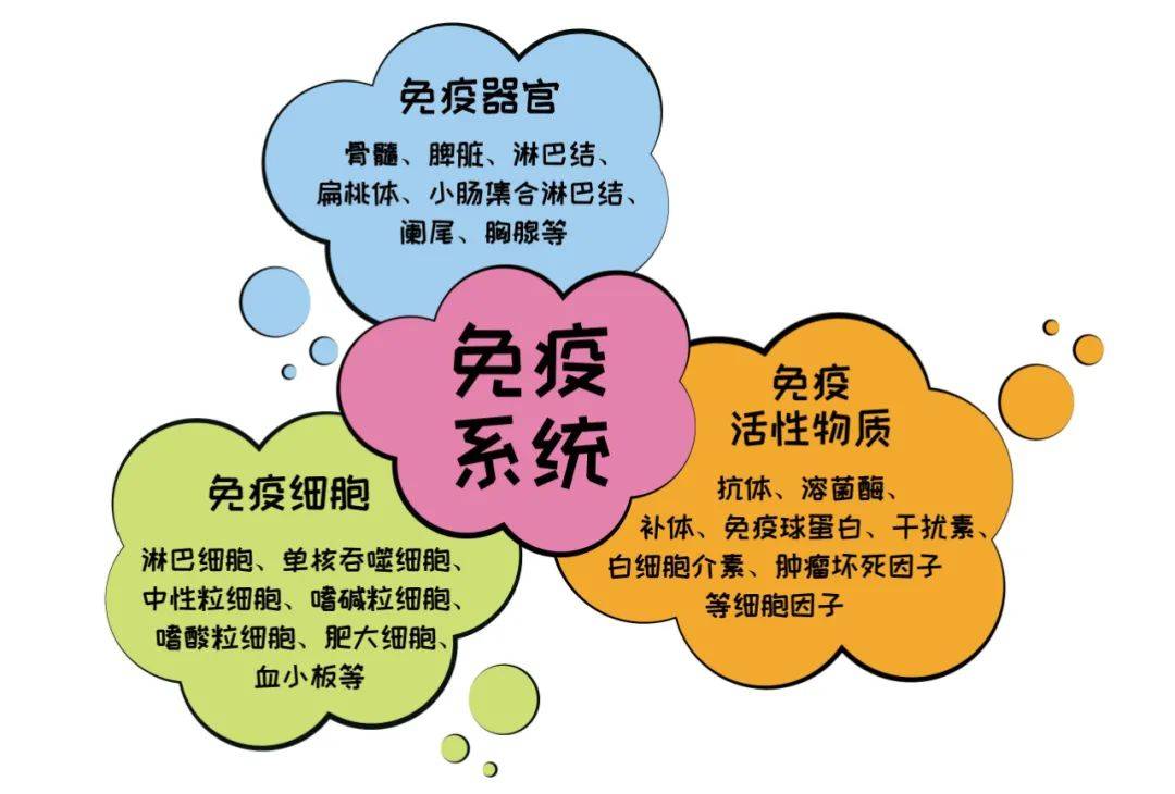 免疫活性物质是由免疫细胞和其他细胞产生的细胞因子,参与到免疫反应