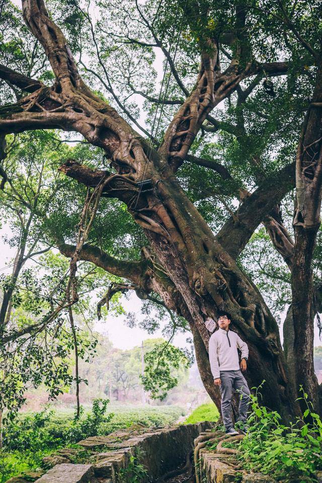 福建廉村，人少景美的福州周边小众目的地