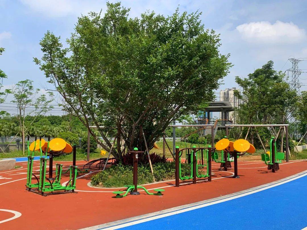 西南河(金松路-蟠龙路)河堤景观升级工程完工_市民_休闲_绿化