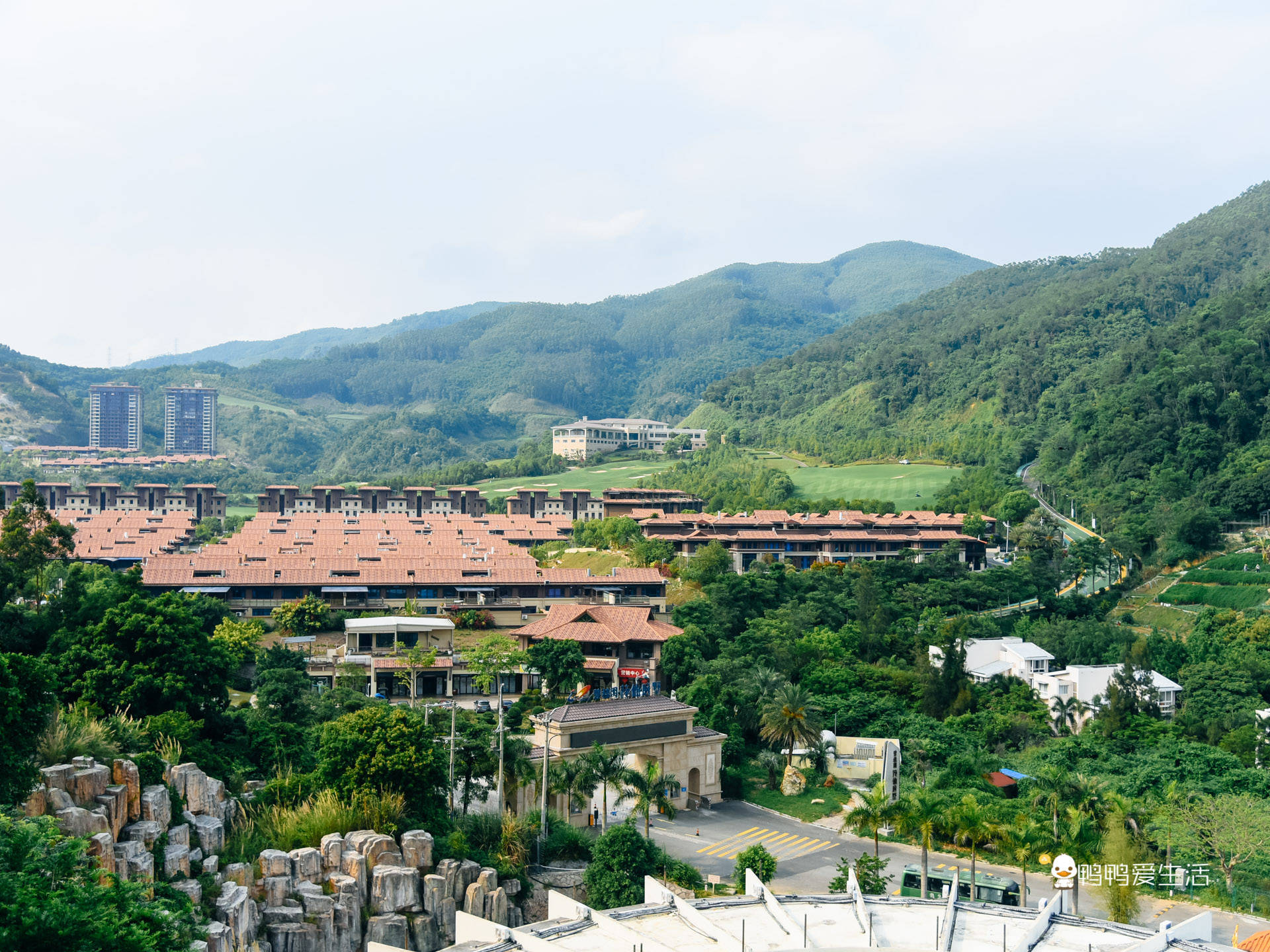 原創漳州東南花都太浪漫農業館奇石館漲知識還能入住溫泉酒店