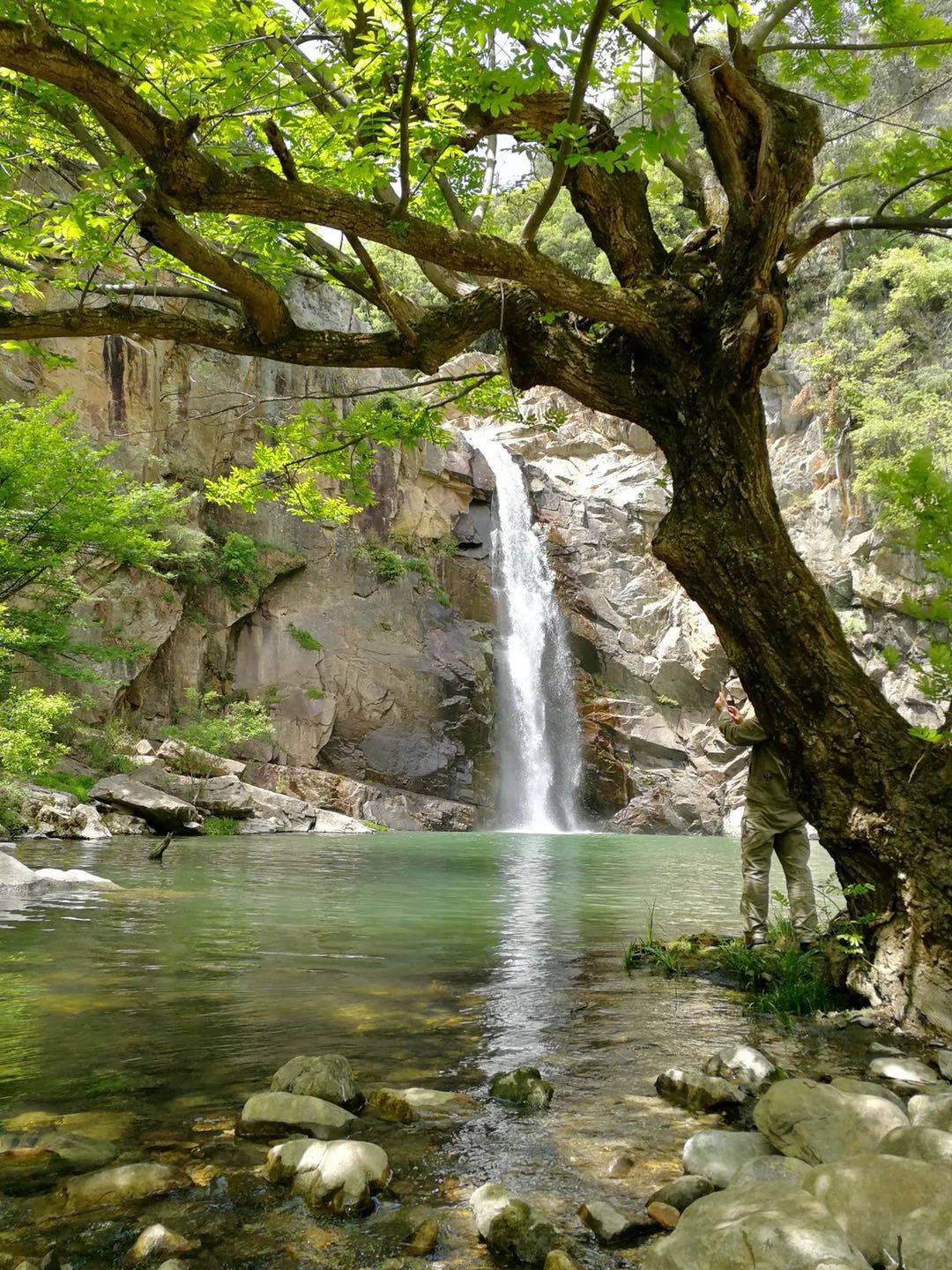 地質學家李四光命名的青峰斷裂帶雲山霧海,是這裡最大的特色活的山水