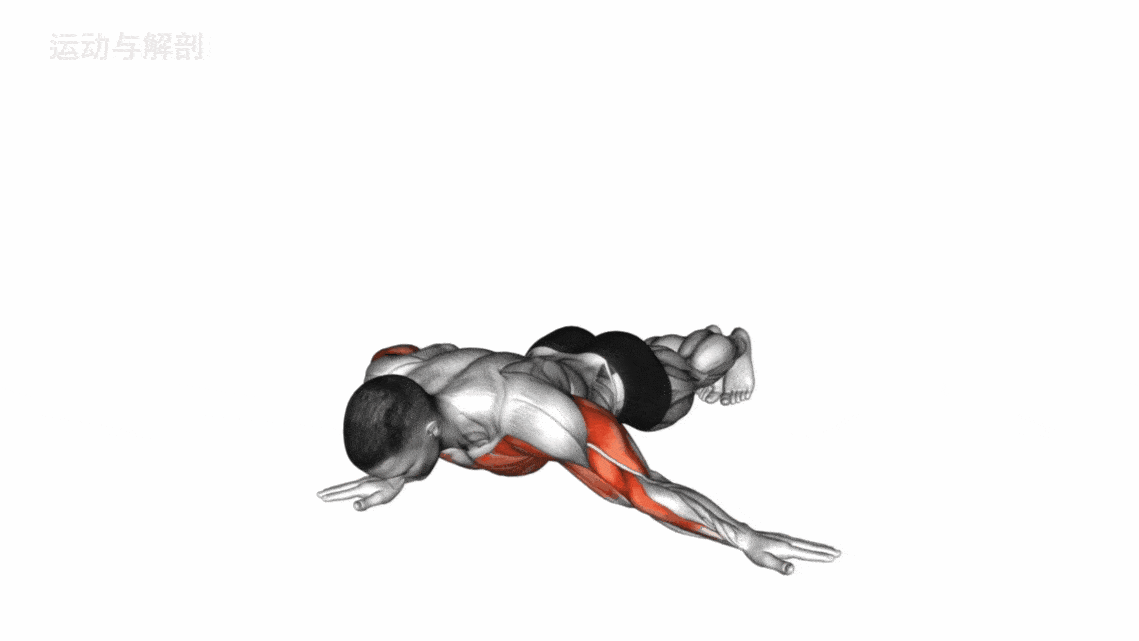 腰间俯卧撑目标肌肉:肱三头肌,前锯肌,背阔肌,大圆肌动作要点:双手