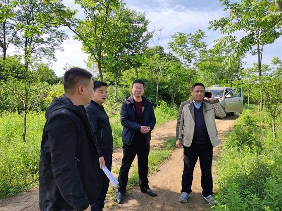 安徽舒城县干汊河镇多举措扎实推进土地综合整治工作糊了麻将(图3)