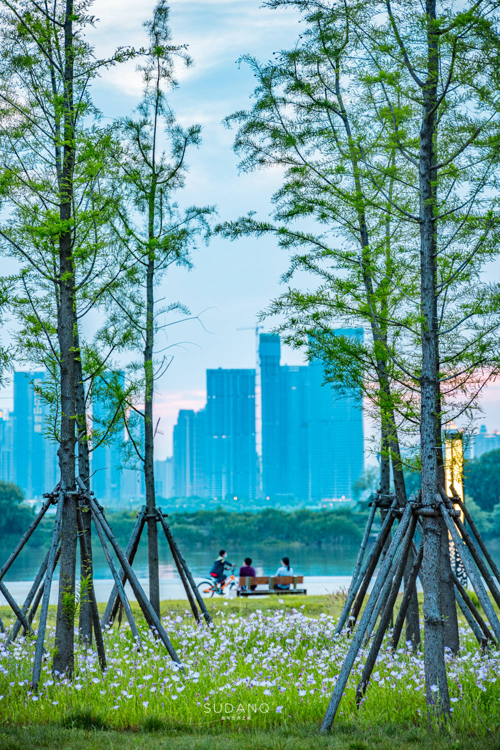 武汉江滩独具特色！打卡白沙洲的江滩公园，建有江城最长樱花大道_手机 