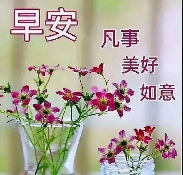 原創超漂亮的早上好問候帶字祝福語圖片最新版早上好表情圖片