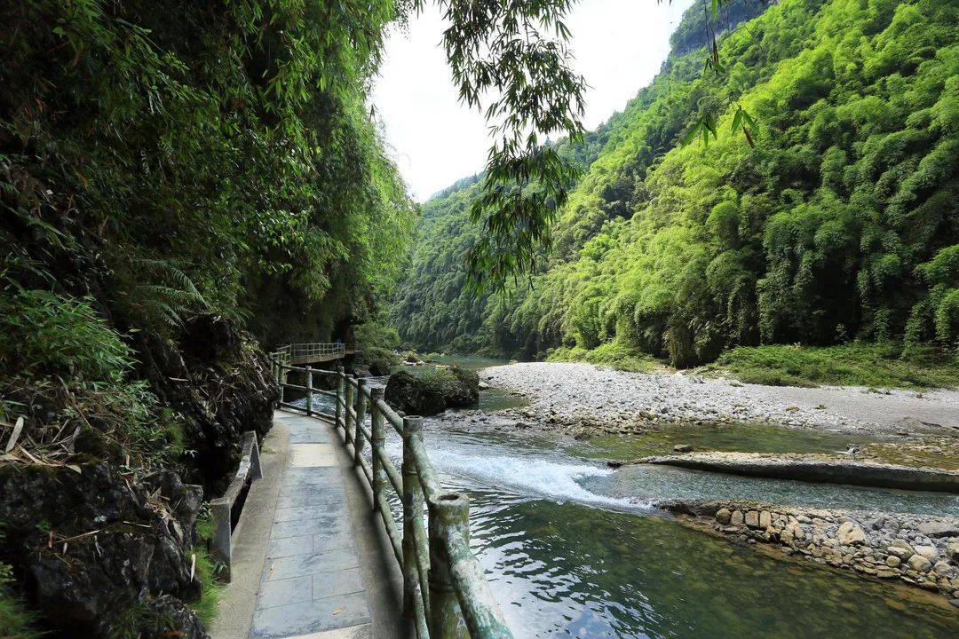 大美阿依河,凭什么成为世外仙境?_景区_喀斯特_动物