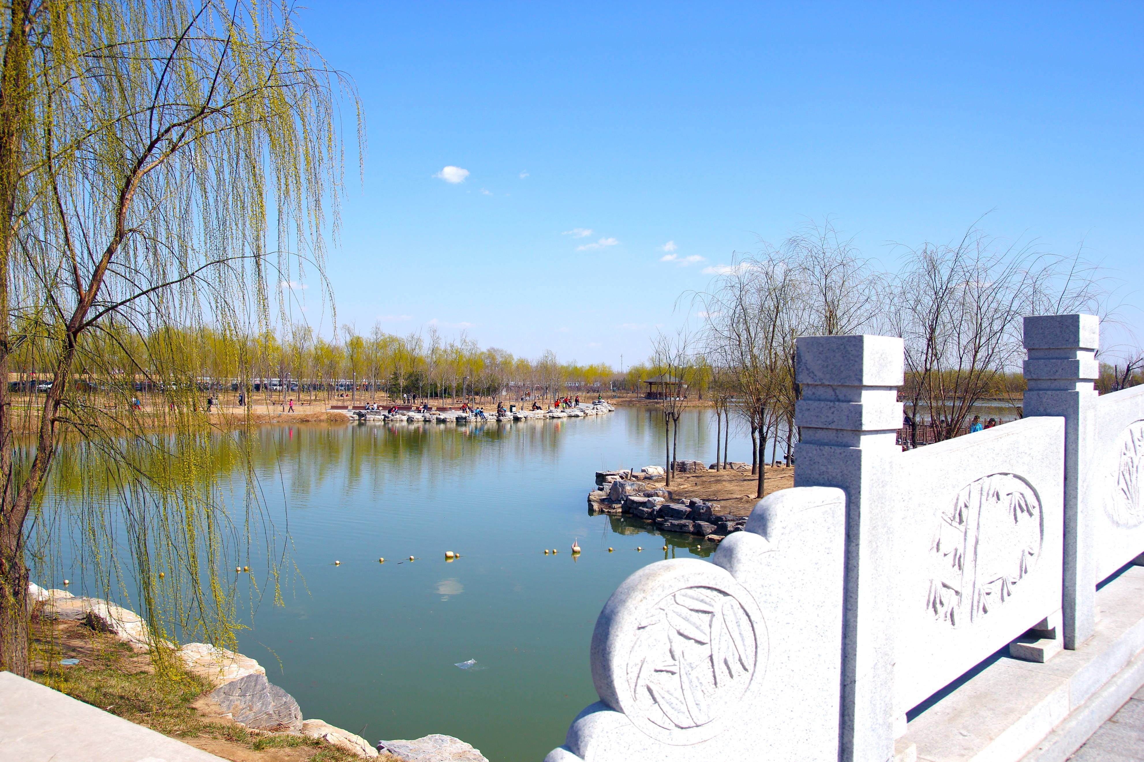 北京这个公园美出圈，阳光沙滩流水石桥，地广人稀还免费