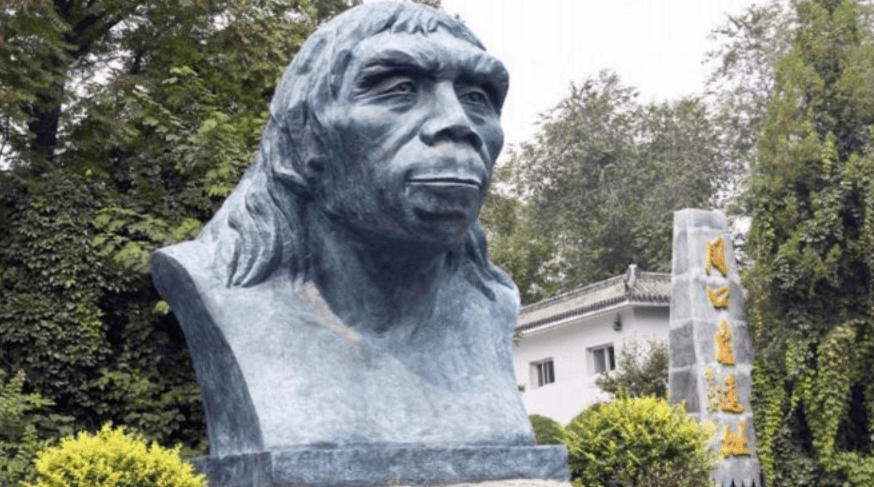 骇人伤痕揭示可怕历史:北京猿人曾遭入侵,沦为食物还被灭绝_智人_直立