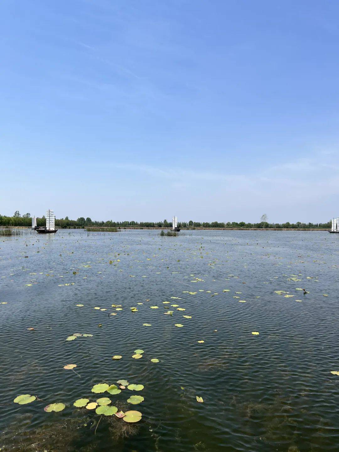 微山湖湿地公园一日游图片