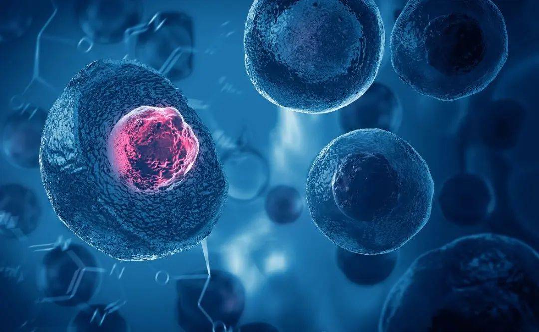 nba球星接受干细胞注射治疗干细胞疗法令无数运动员满血复活