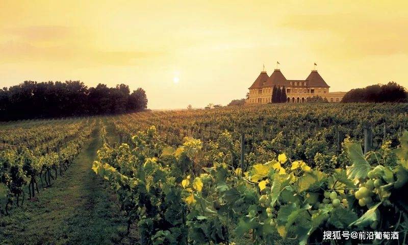 法国波尔多圣爱美浓(ST EMILION)产区的葡萄酒简介