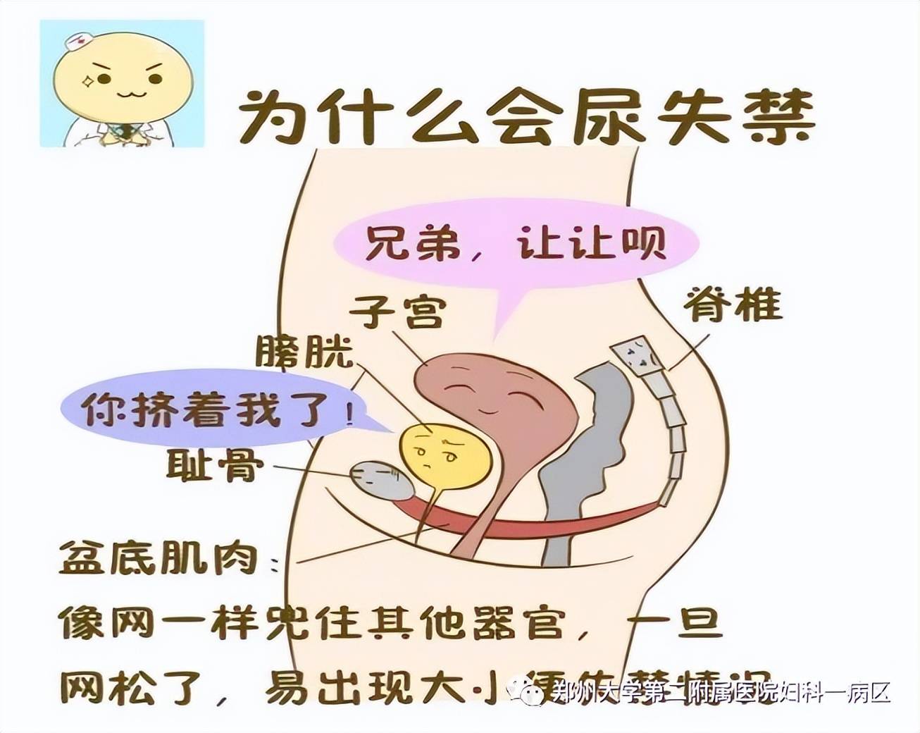 压力性尿失禁其实就是一种盆底障碍性疾病