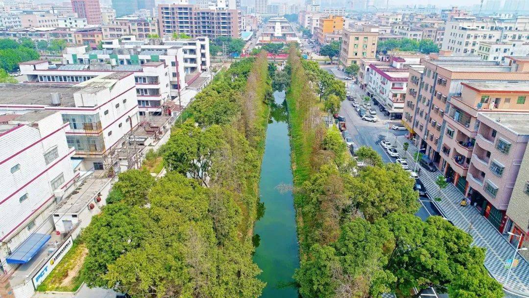 东莞石排镇向西村老街图片