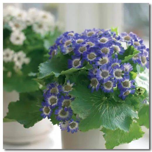 青年诗词·旧体诗/肖国武/硖口怀古