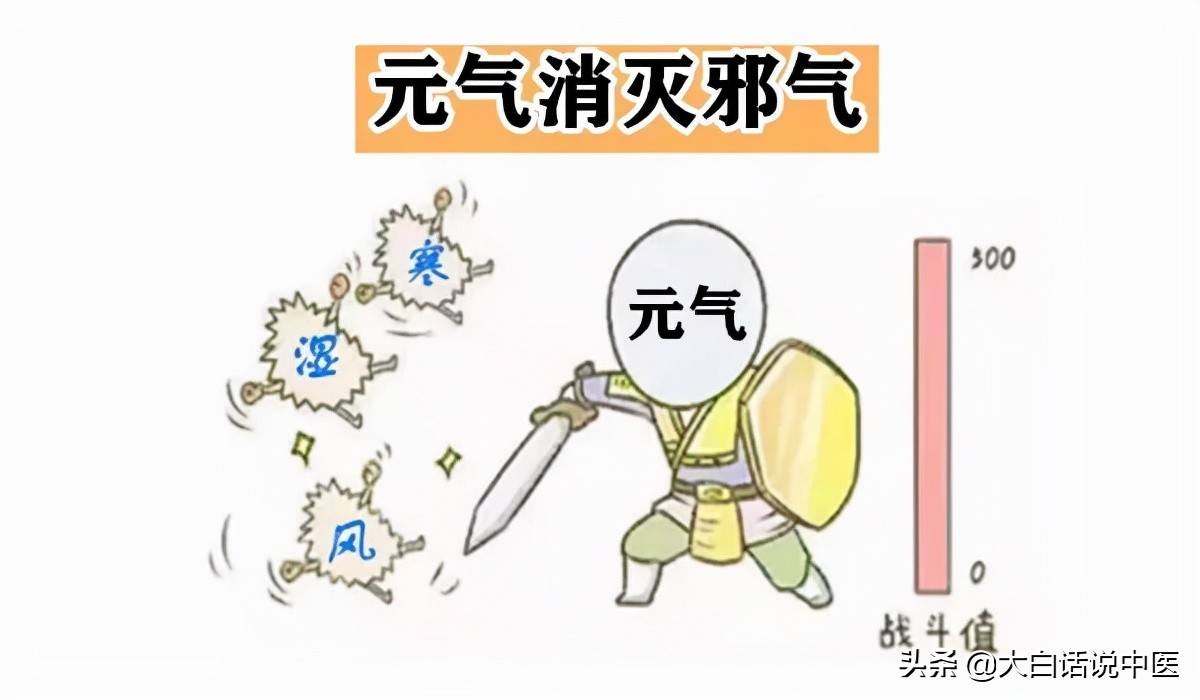 而当你元气足的时候,邪气打不过,就会望风而逃,血压自然会回归正常.