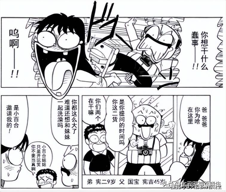 多少人记得这部无厘头搞笑动漫《森林好小子》_卡内奇_西多_动画片