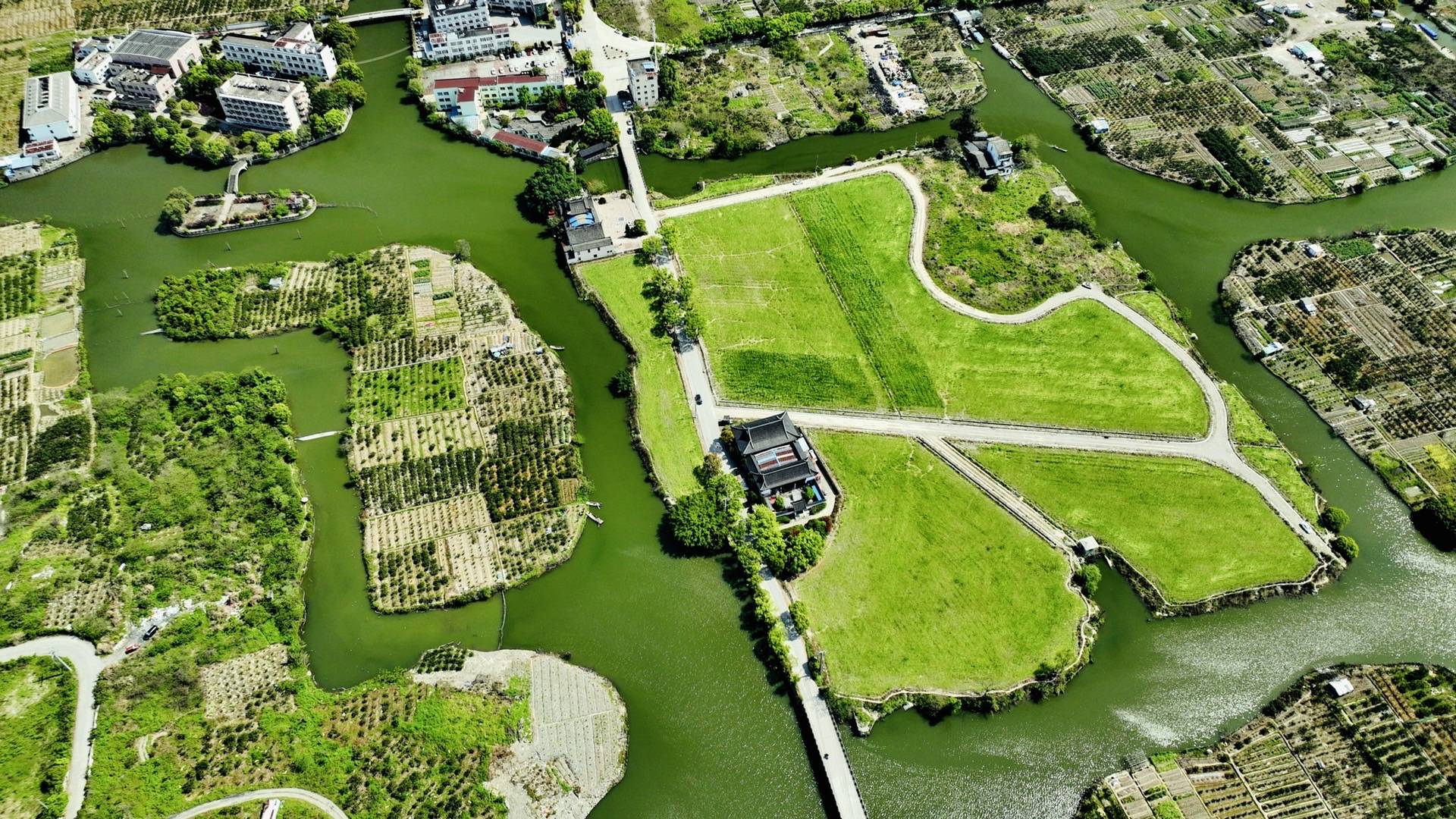 5·19坐画舫游三垟湿地,300张免费船票,带着家人悠游浙南威尼斯_温州