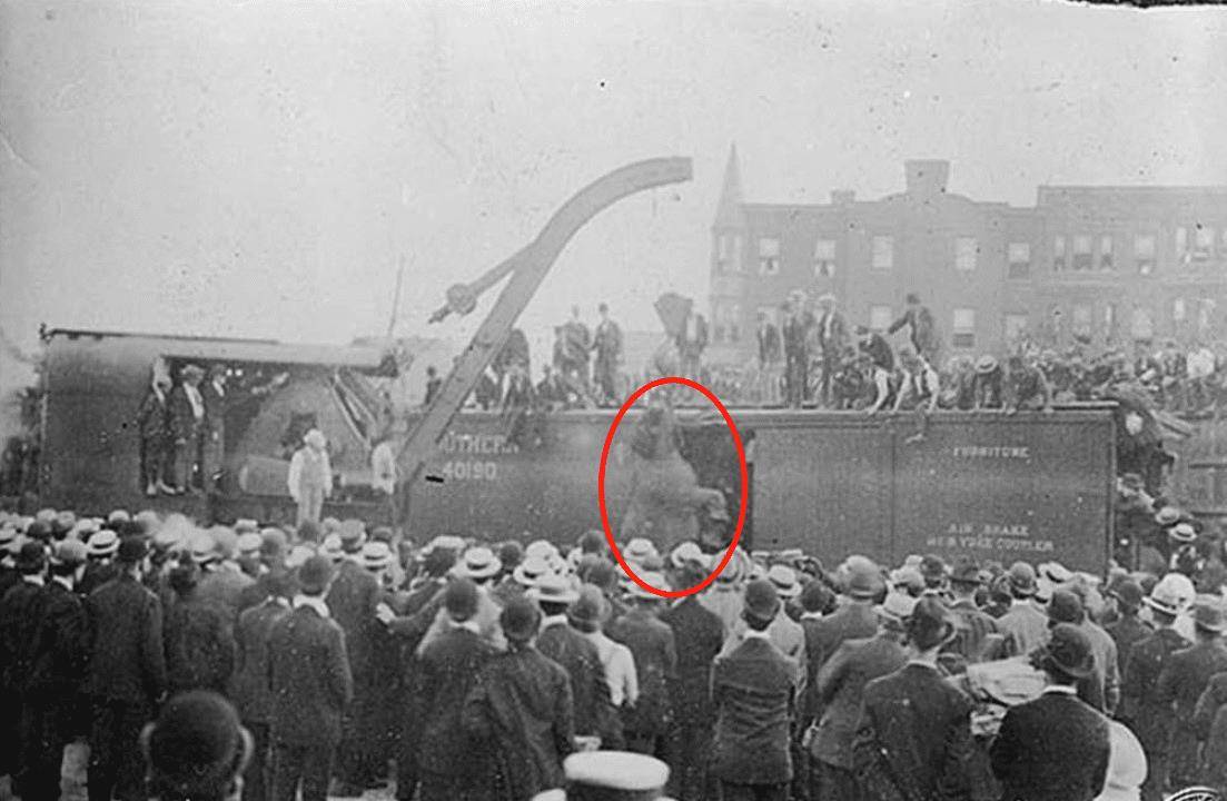 原创被绞刑的大象用脚将饲养员爆头100吨吊车将其悬空数分钟