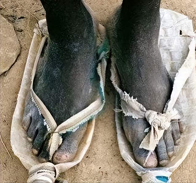 穷人的鞋子图片图片