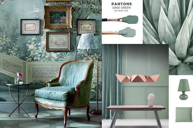 今年绿色太火 推荐过40岁的女性 穿 鼠尾草绿 会更优雅有魅力 白色 颜色 罗纹