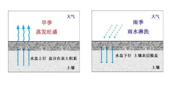 上升(原因可能有:大水漫灌,水壩回水區內,調水線路兩側,地上河兩側等)