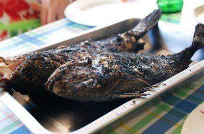 炒糊的菜中在家中炒菜做饭不小心做糊也是常有的事,但最好不要食用.