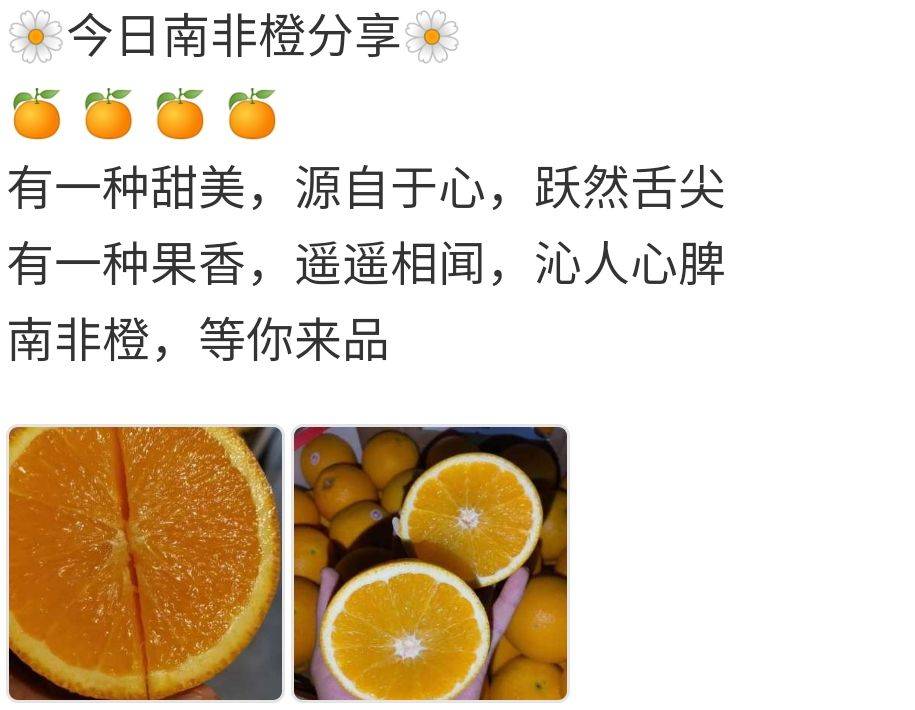 水果文案配水果南非橙的朋友圈文案南非橙水果宣传文案模版