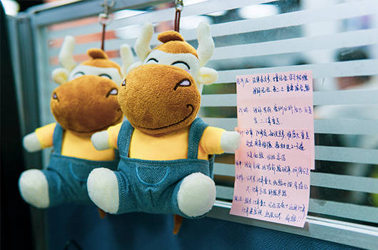 初级会计考试成绩查询方法_初级会计成绩查询入口_考试成绩单