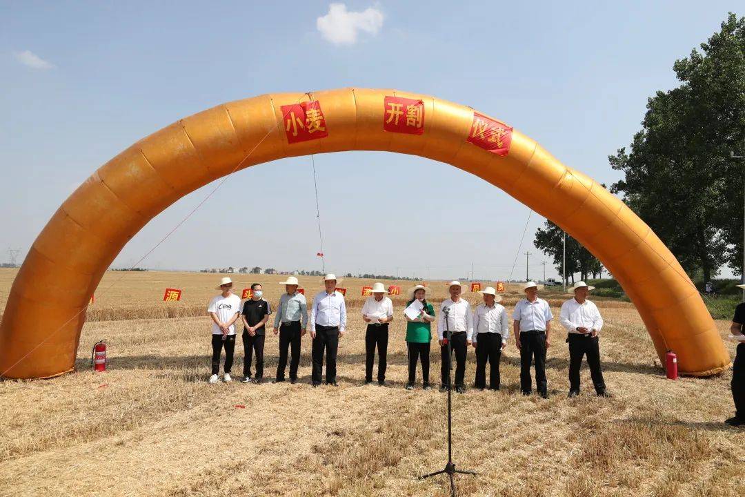 襄阳夏粮丰收在望,小麦开割仪式在襄州举办_湖北省_生产_董事长