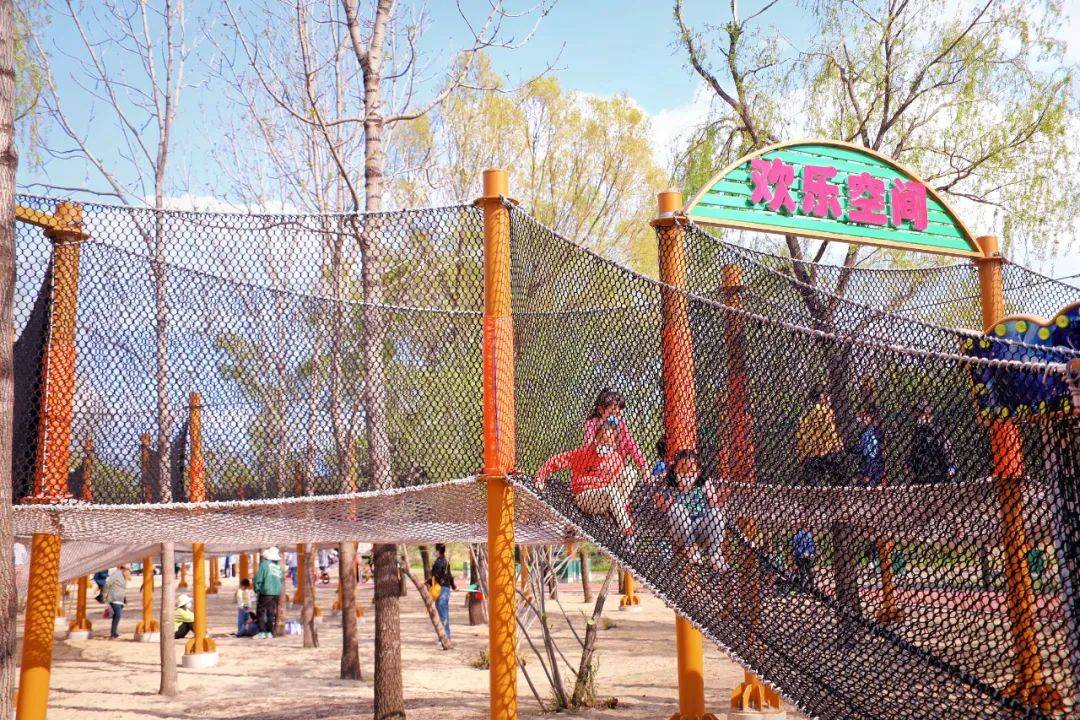 三天假期来啦快带孩子去太阳岛笨熊乐园