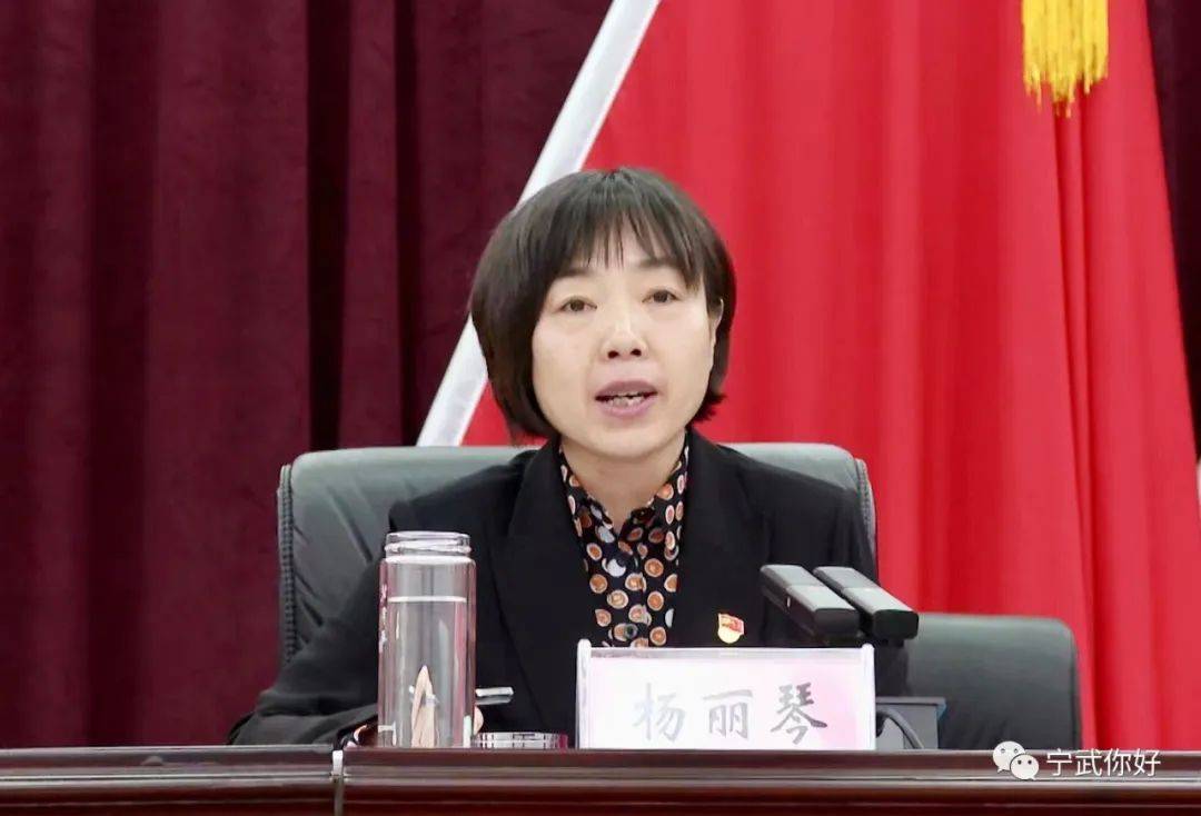 宁武县委平安建设领导小组第二次(扩大)会议召开_工作_杨丽琴_部署