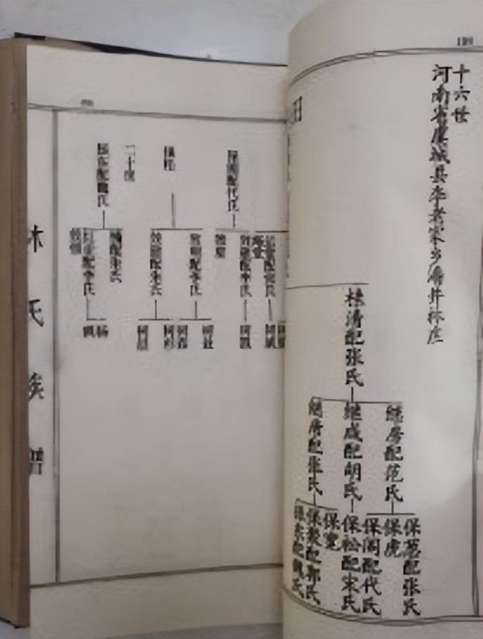 在不同时期家谱的主要功能是什么