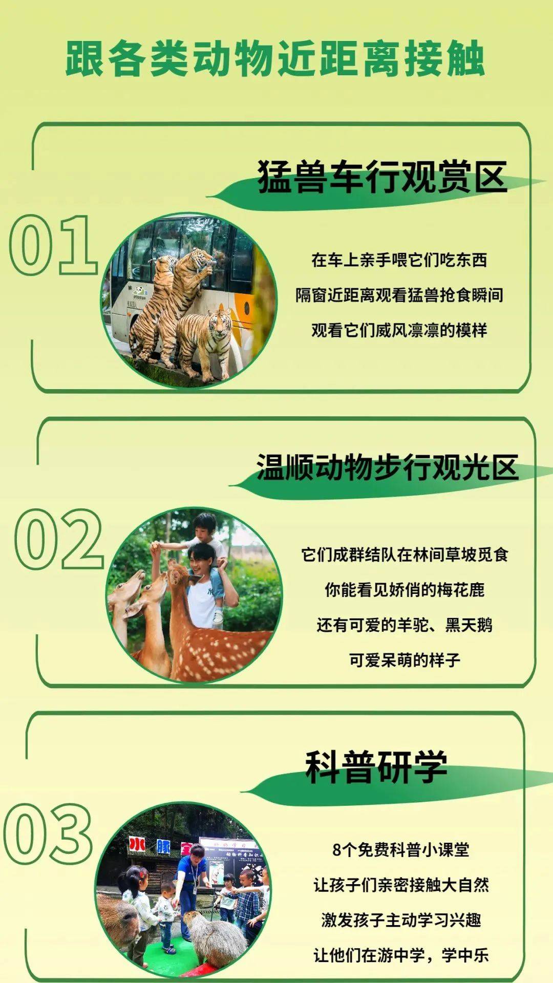 科普研学萌宠动物互动碧峰峡野生动物园