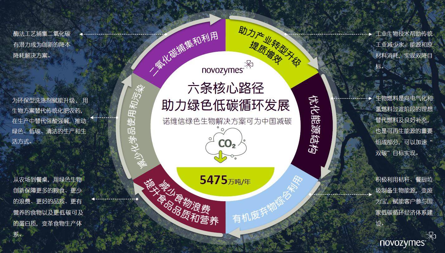 微生物肥料在现代农业中的新突破