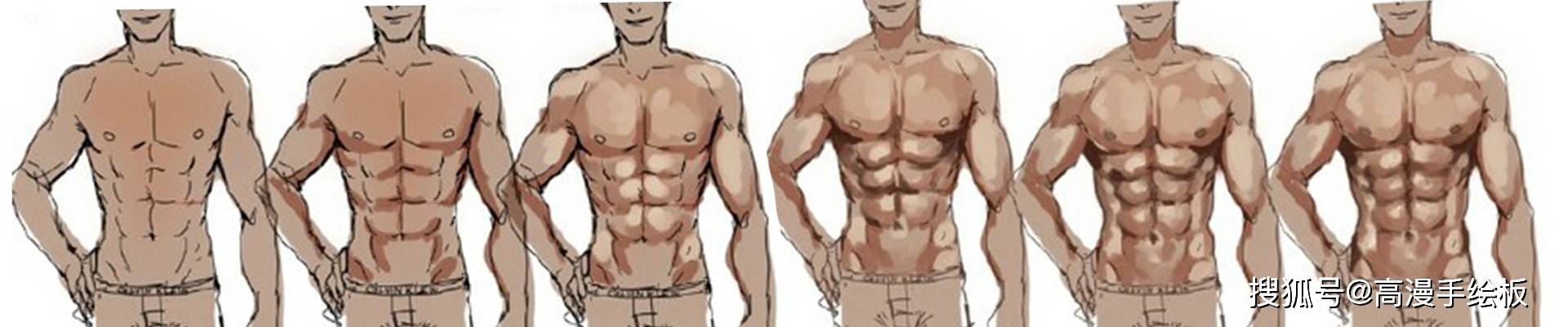 【人体教程】胸腹肌的绘制教程