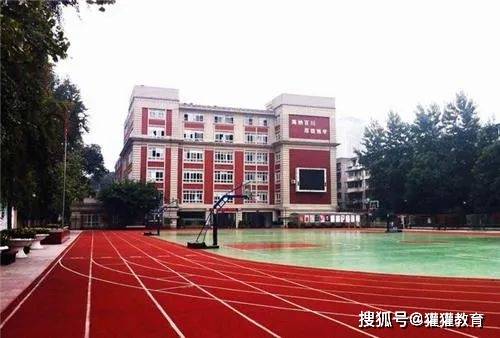 成都树德联合学校_成都树德联合学校收费_树德联合学校怎么样