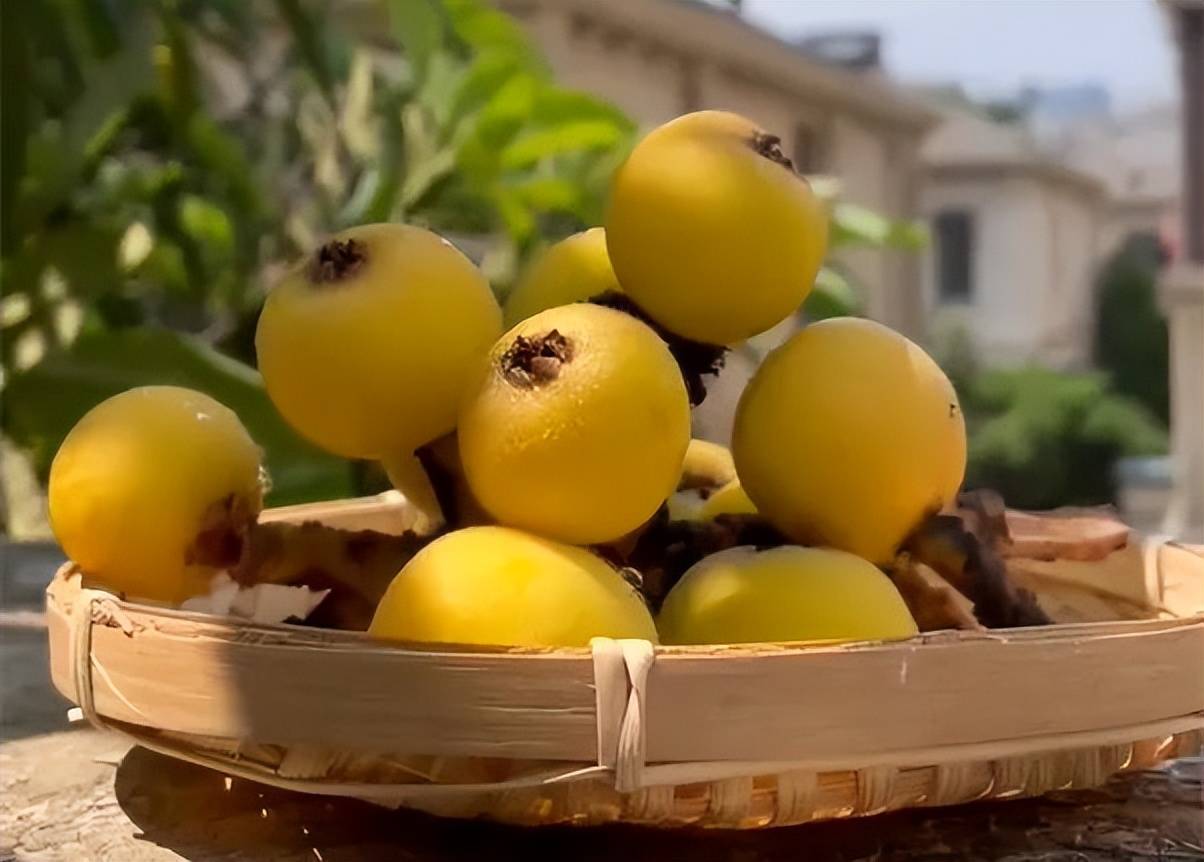 童谣里的美食:苏州人小辰光的温暖回忆,现在还会说的不多了_荸荠_枇杷