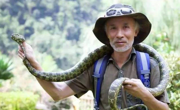 蛇博士被咬伤后未及时处理,成"九指蛇仙"_陈远辉_烙铁头_因为
