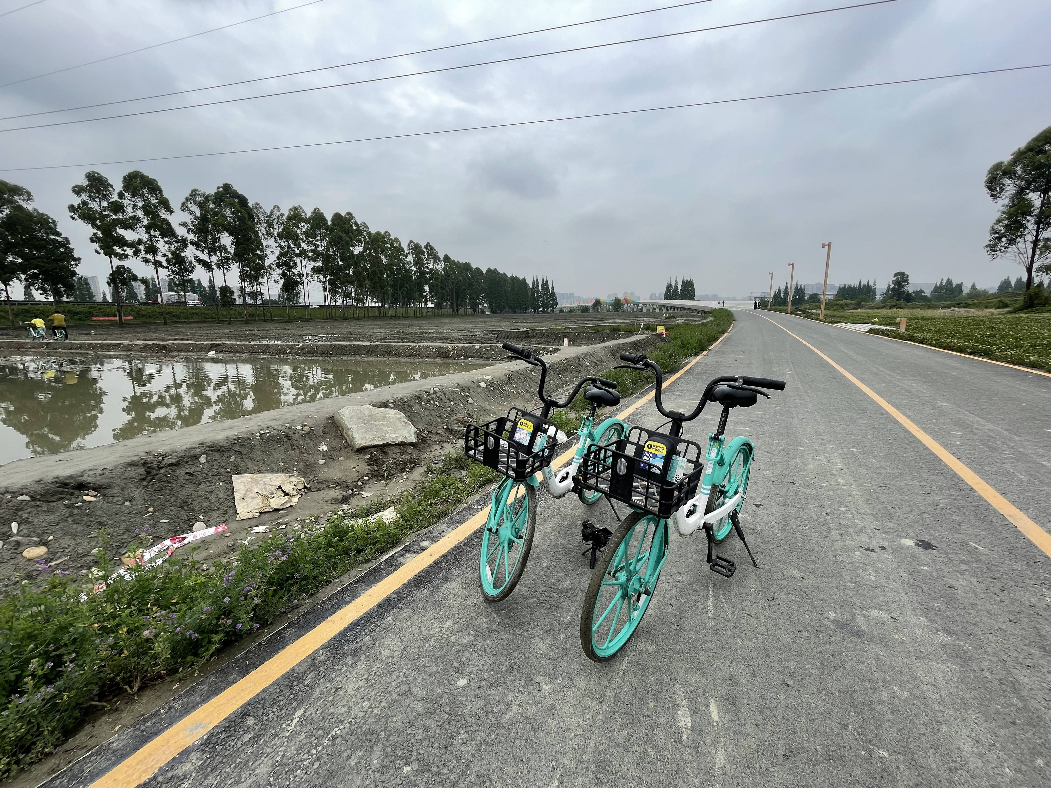 首条自行车专用路成北京绿色出行最美路 - 知乎