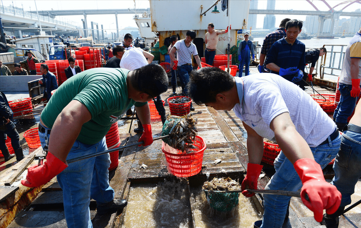 这里的营养饵料极为丰富,为形成天然鱼库提供了自然条件