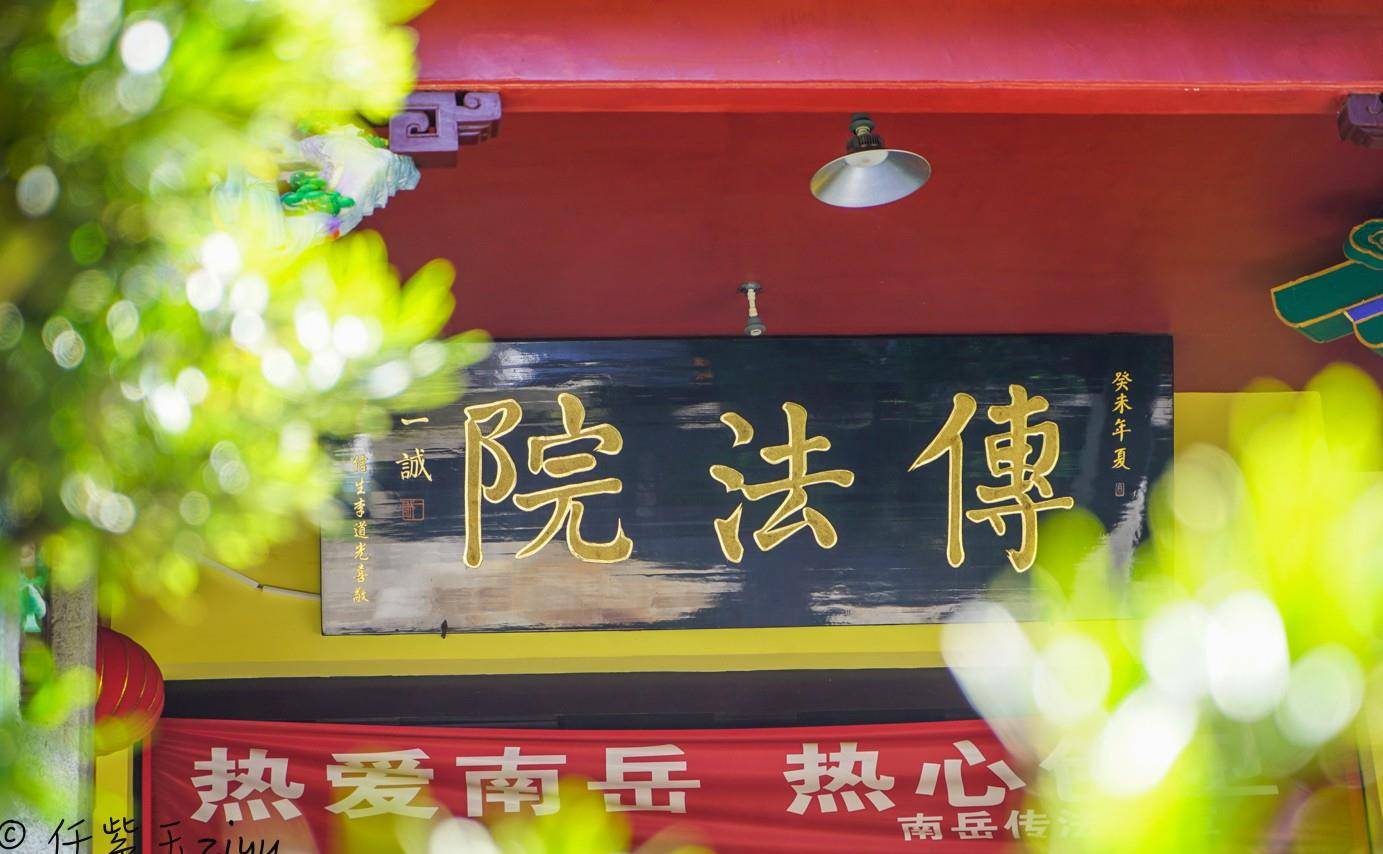 湖南南岳衡山旅行，登上山顶祝融峰风景独好，一日游衡山攻略